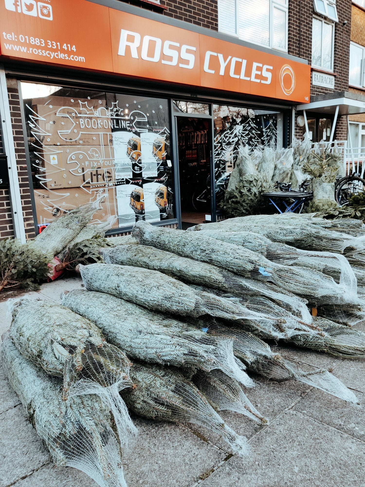Real Christmas Trees and Stands - Ross Cycles - Caterham Bicycle Servicing  and Shop