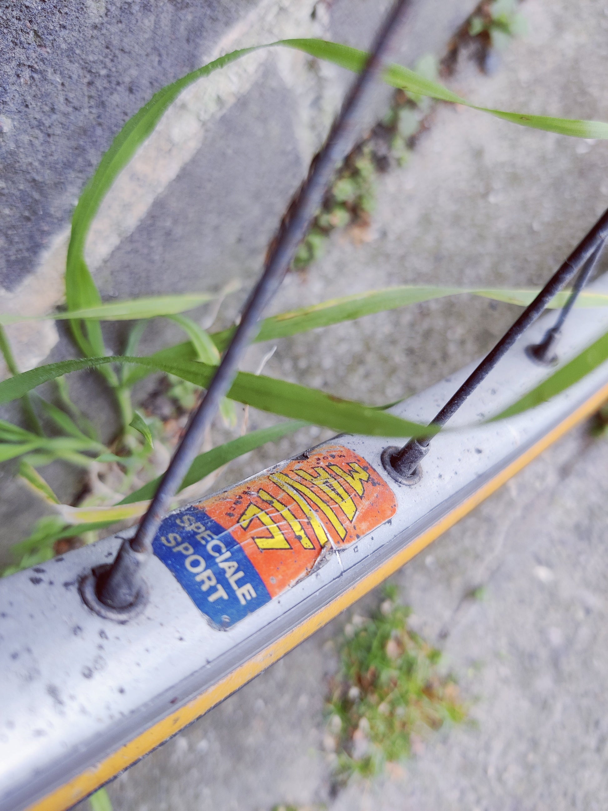 Vintage Regina Steel Racer USED BIKE - Ross Cycles Caterham